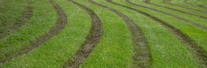 The Best Temporary Fix for a Muddy Yard