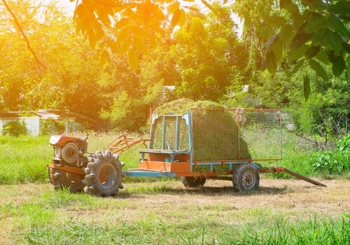 Yard Mat Protection
