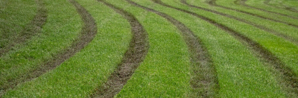 Temporary fix for a muddy yard